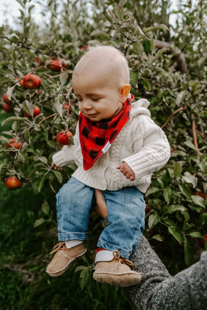 baby boy in a cozy sweater and red bandana sitting among apple trees, smiling while being held by an adult